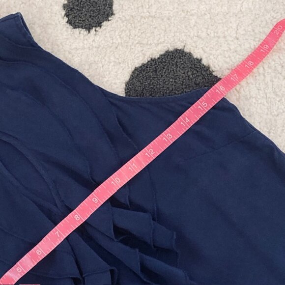 Parker $198 Womens Small Blue 100% Silk Sleeveless Ruffle Classic Blouse Top - Picture 9 of 9